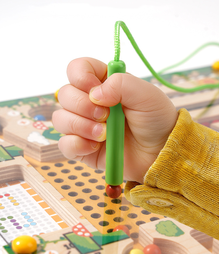 Magnetic Sorting Games Montess - Board Game Qwirkle review and price